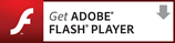 FLASH PLAYERをインストール